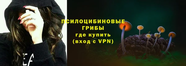 спиды Алексин