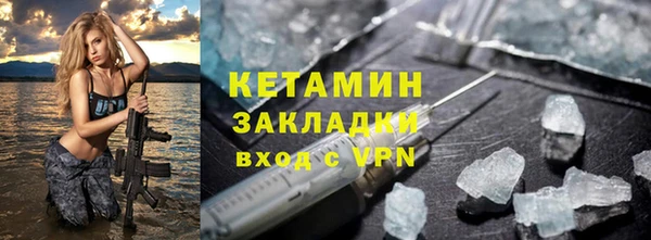 шишки Корсаков