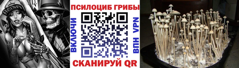 Галлюциногенные грибы прущие грибы  darknet клад  Мензелинск  сколько стоит 